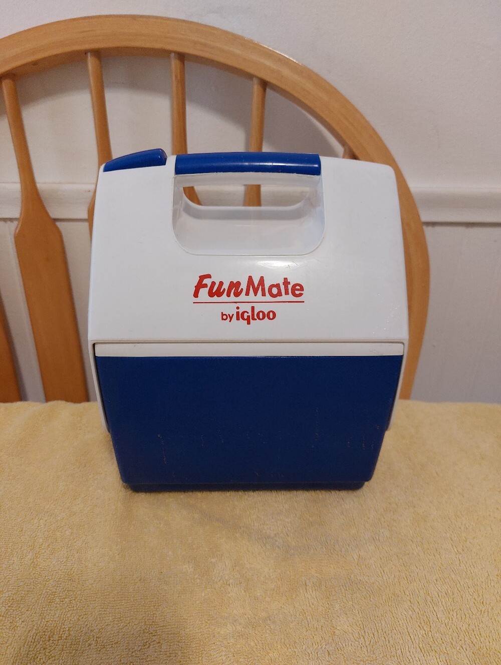 Vintage Igloo FunMate